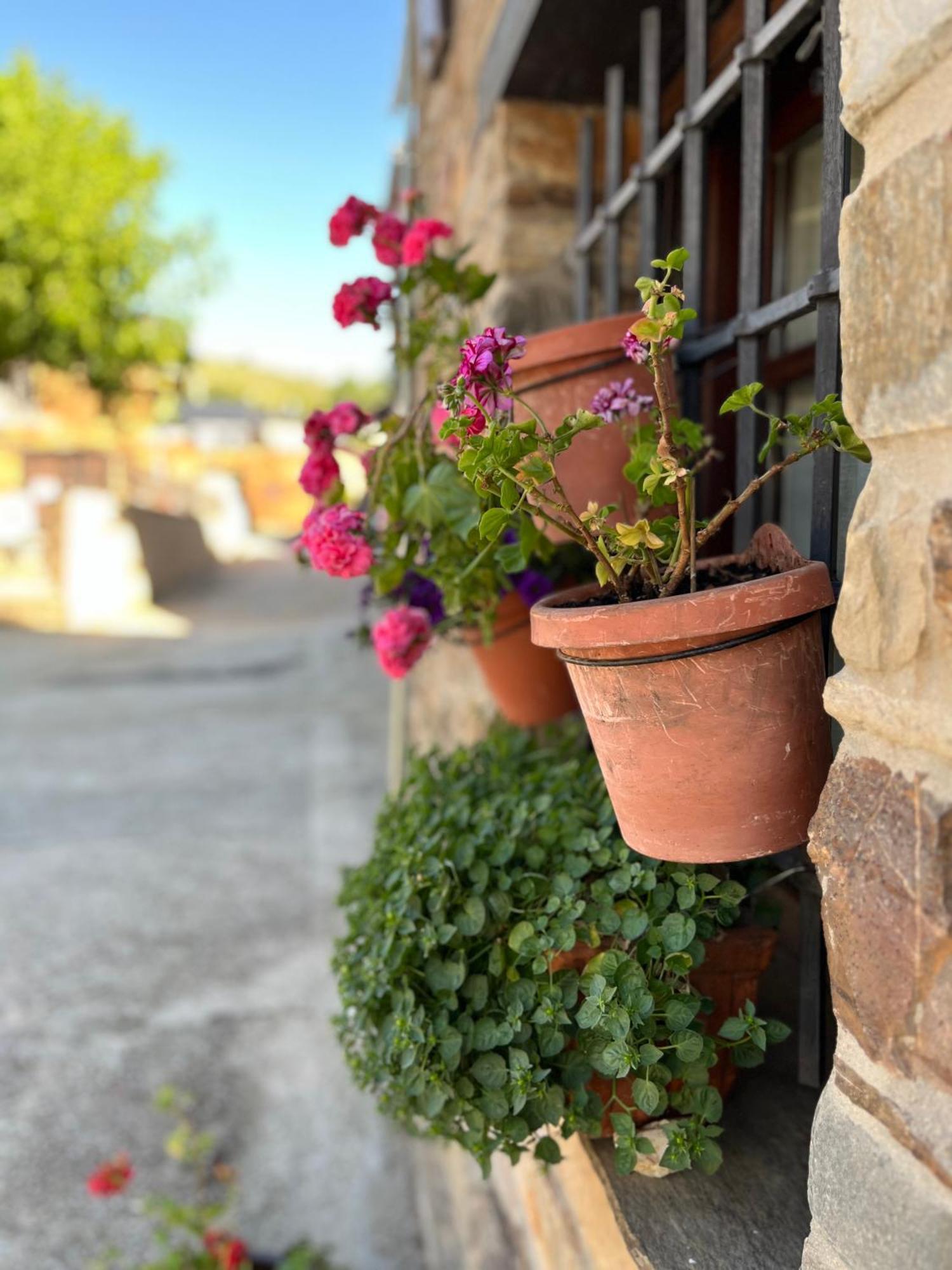 Willa La Casina De Gelo Riego de Ambros Zewnętrze zdjęcie